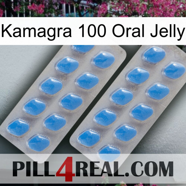 Kamagra 100 Oral Jelly 23.jpg